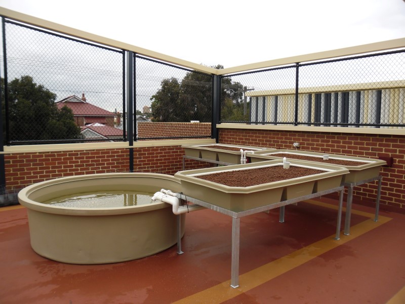 SAM_0017 (Custom).JPG