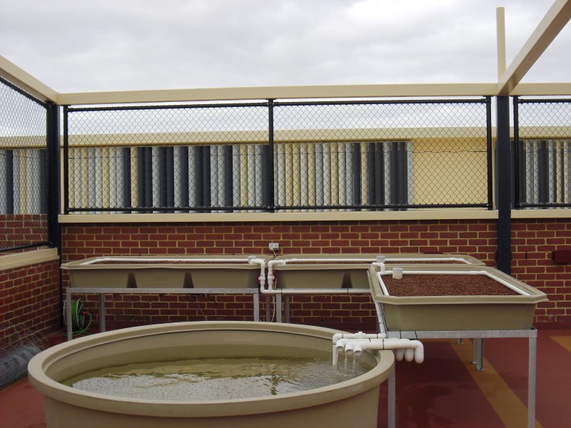 SAM_0024 (Custom).JPG