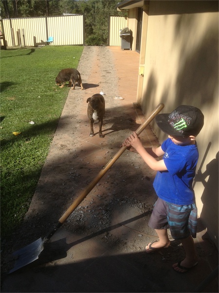 Back Yard Reno_001.jpeg