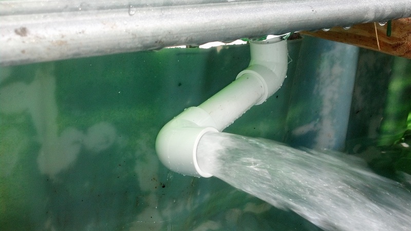 2013-06-22 10.04.17.jpg