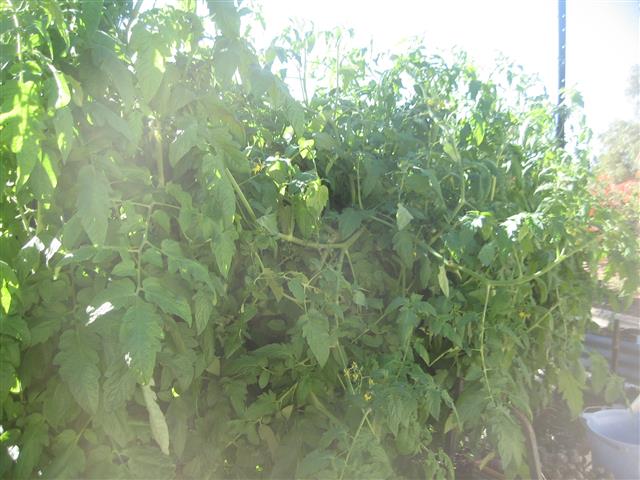 TODAY IS THE DAY 001 (Small).JPG