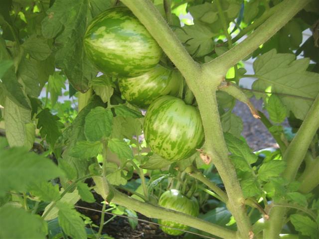 TODAY IS THE DAY 003 (Small).JPG