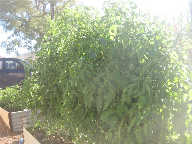 TODAY IS THE DAY 002 (Small).JPG