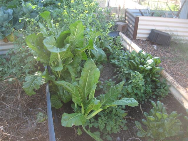 TODAY IS THE DAY 007 (Small).JPG