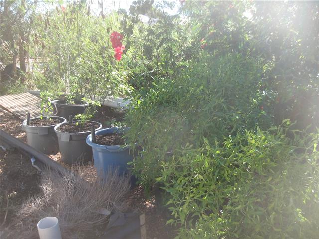 TODAY IS THE DAY 009 (Small).JPG