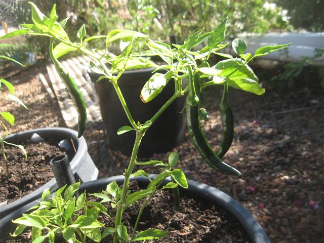 TODAY IS THE DAY 011 (Small).JPG