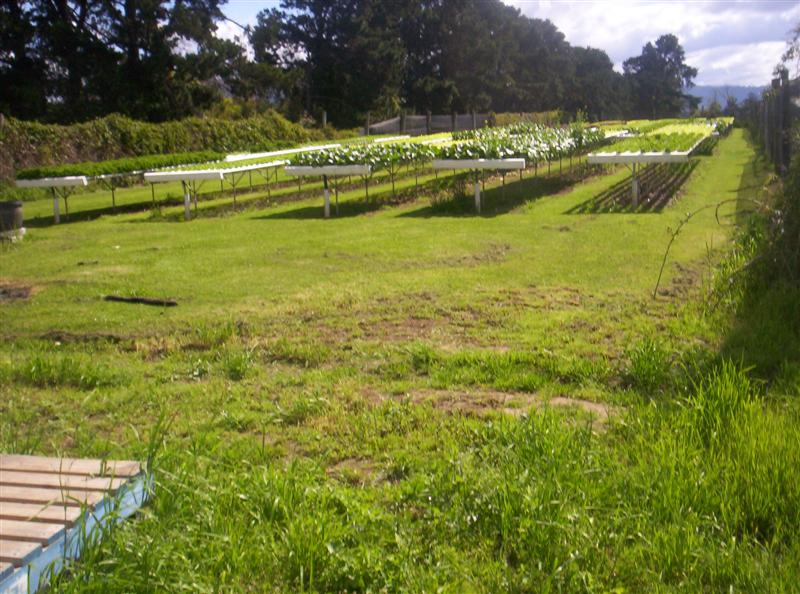 100_2209 (Medium).JPG