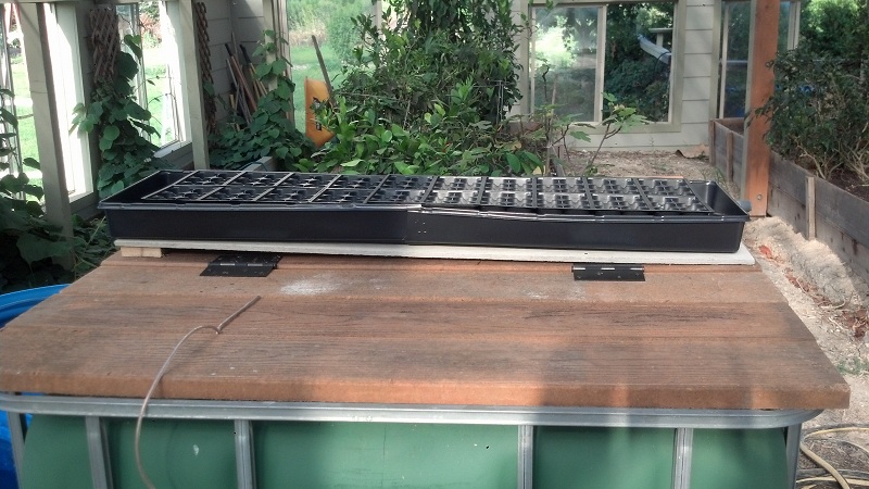 2013-06-27 18.44.19.jpg