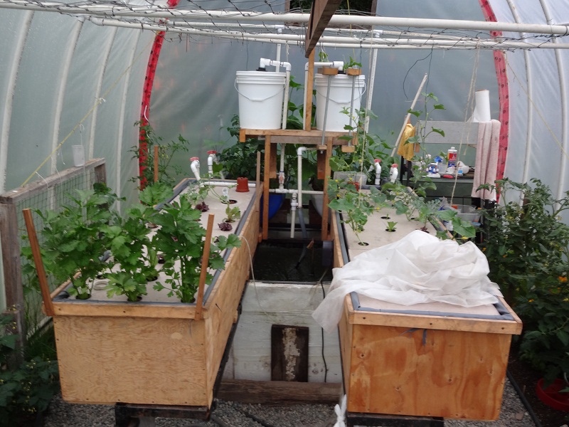 greenhouse door view.jpg