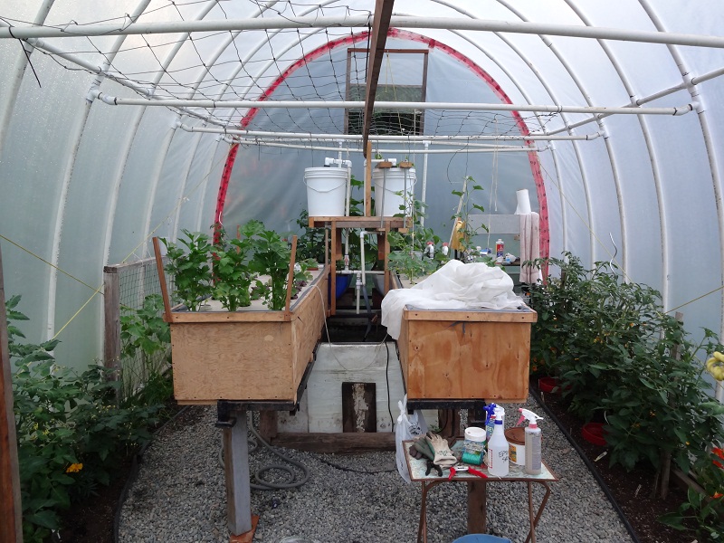 whole greenhouse.jpg