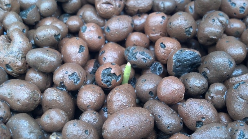 2013-06-28 08.02.40.jpg