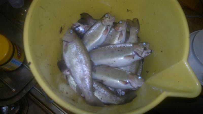 2013-06-29-167 (Custom).jpg