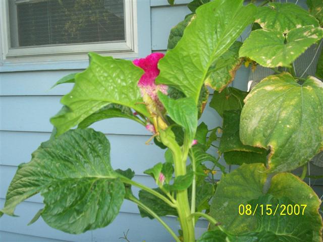 100_0155 (Small).jpg