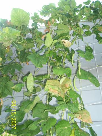 100_0158 (Small).jpg