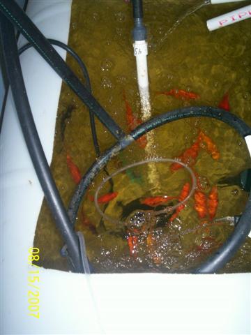 100_0159 (Small).jpg