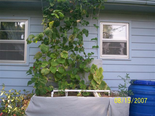 100_0163 (Small).jpg