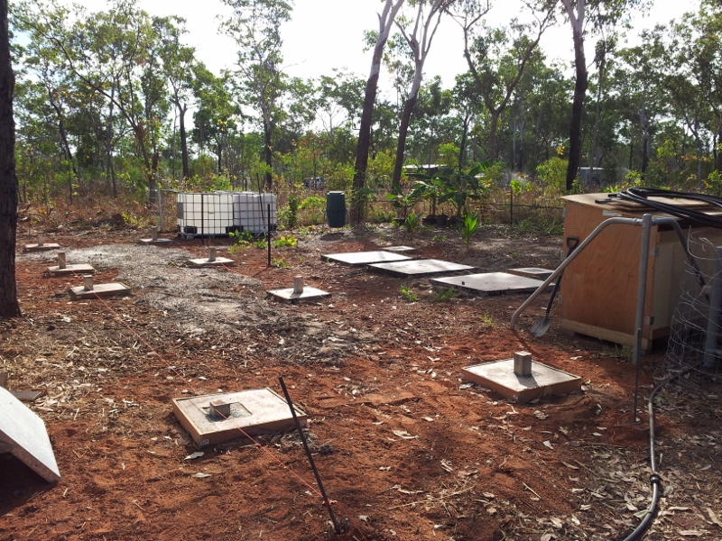 20130704_160402 (800x600).jpg