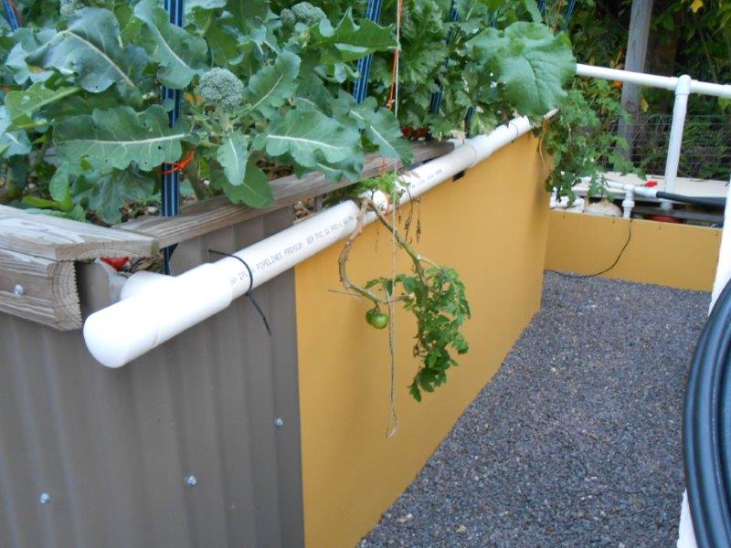 updates july 2013 003.jpg