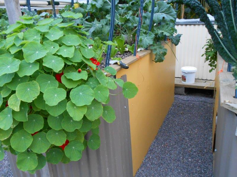 updates july 2013 004.jpg