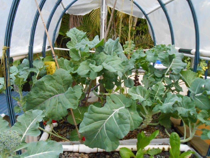 updates july 2013 017.jpg