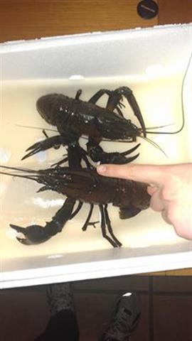 999316_4402181791839_638591122_n (Small).jpg