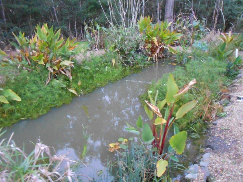 updates july 2013 037.jpg