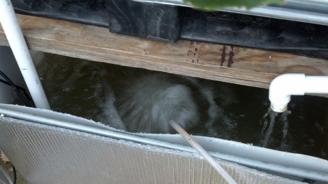 ImageUploadedByTapatalk HD1373508854.003849.jpg