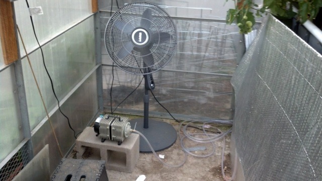 ImageUploadedByTapatalk HD1373508870.858014.jpg