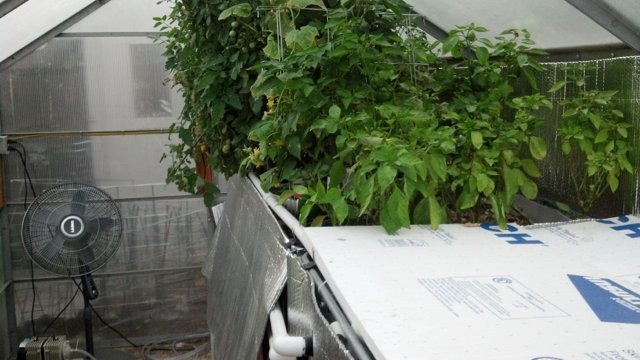 ImageUploadedByTapatalk HD1373509020.689042.jpg