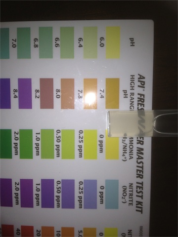 First Water Test_002.jpeg