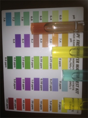 First Water Test_001.jpeg