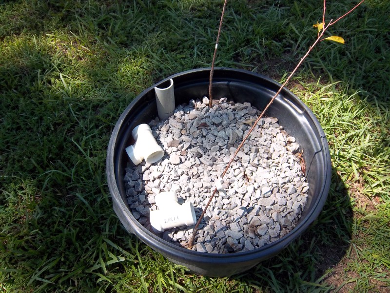 Dwarf trees in AP 003 (Custom).jpg