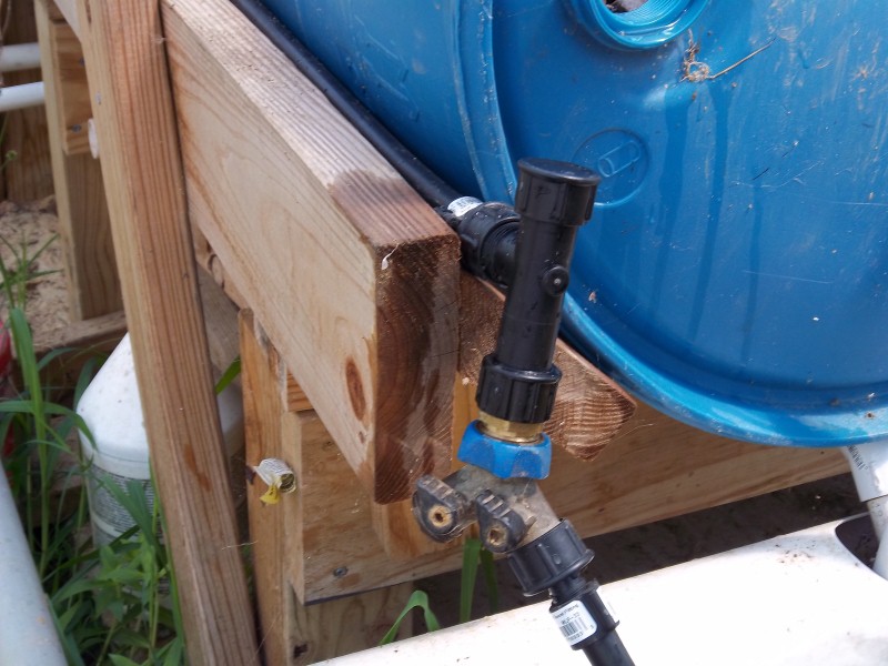 Dwarf trees in AP 010 (Custom).jpg