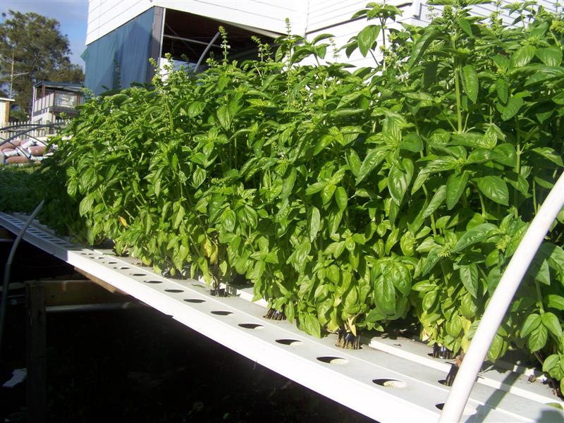 100_2753 (Medium).JPG