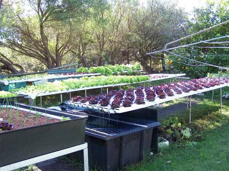 100_7176 (Custom).JPG