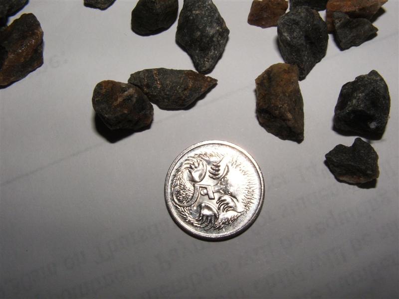 DSCF2603 (Medium).JPG