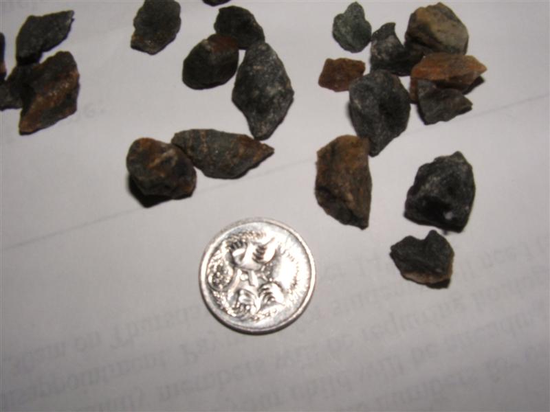 DSCF2604 (Medium).JPG