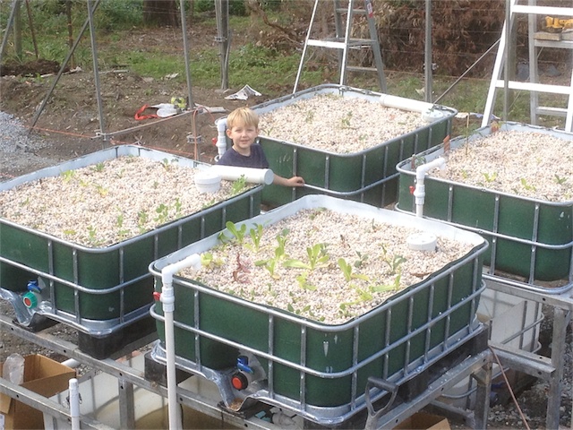 Progress 19.07.13_003.jpeg