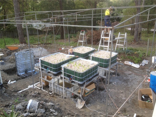 Progress 19.07.13_004.jpeg