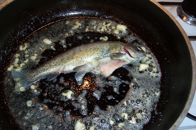 rainbow trout with butter and garlic.jpg