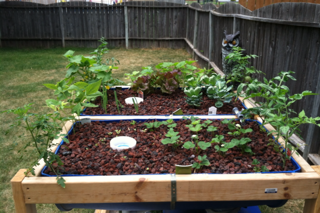 Small ap pic - after.PNG