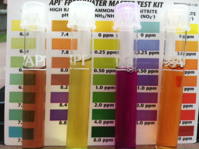 July 25th API test.JPG