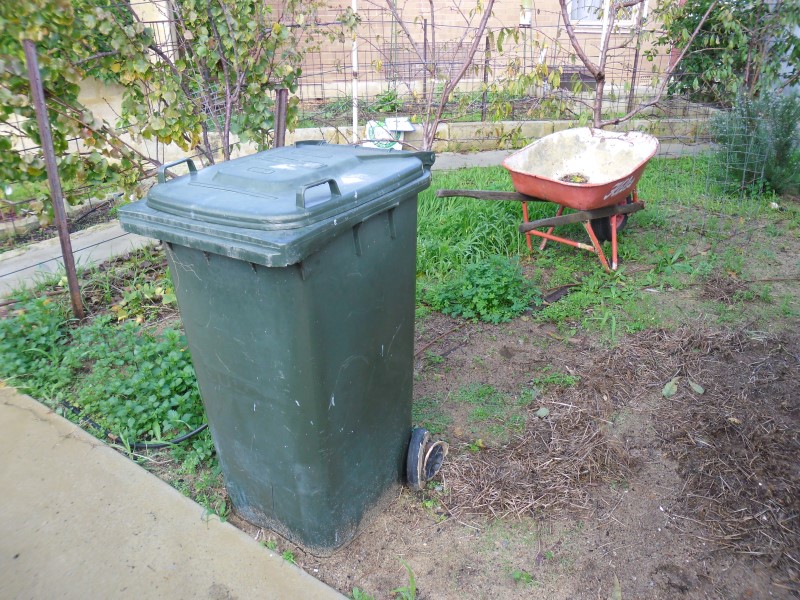 SAM_0037 (Custom).JPG