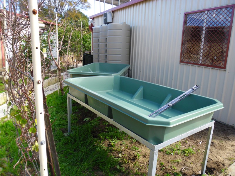 SAM_0052 (Custom).JPG