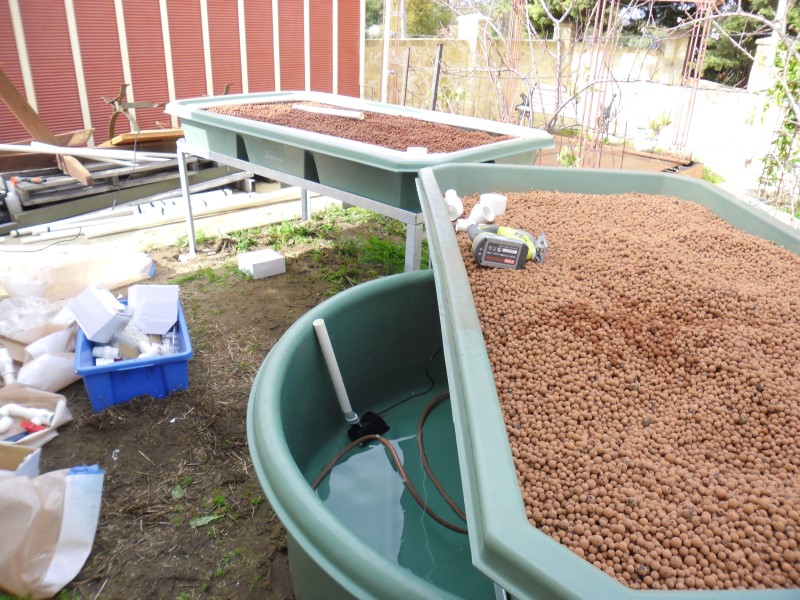 SAM_0061 (Custom).JPG