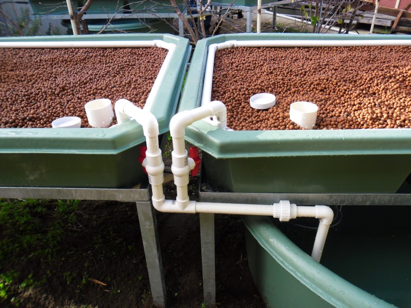 SAM_0082 (Custom).JPG