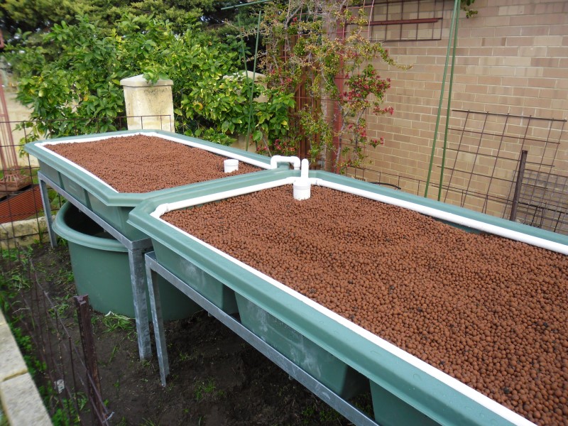 SAM_0086 (Custom).JPG