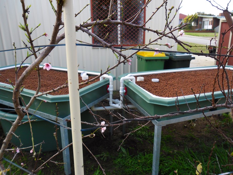 SAM_0087 (Custom).JPG