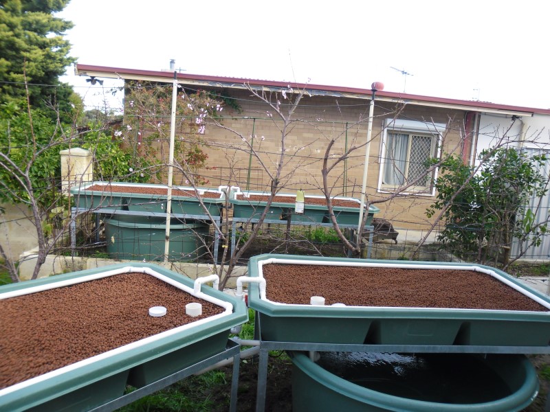 SAM_0090 (Custom).JPG