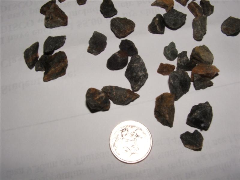 DSCF2605 (Medium).JPG